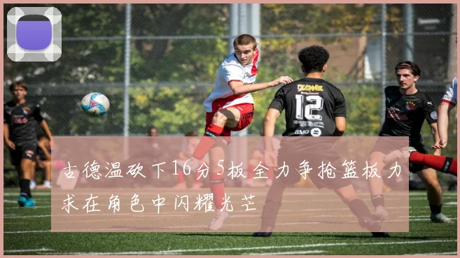 古德温砍下16分5板全力争抢篮板力求在角色中闪耀光芒