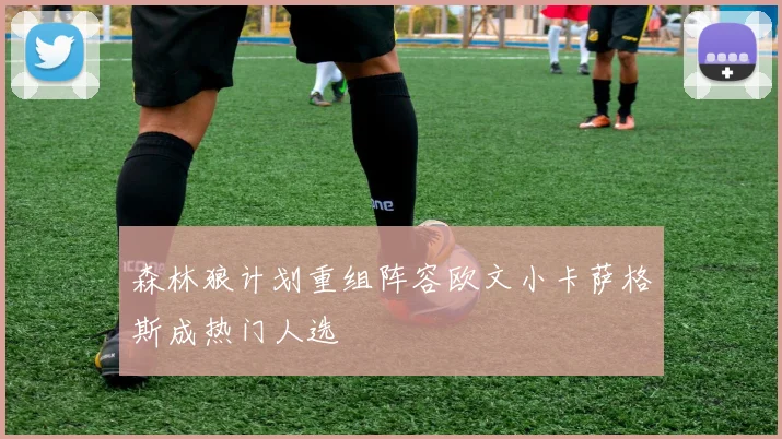 森林狼计划重组阵容欧文小卡萨格斯成热门人选