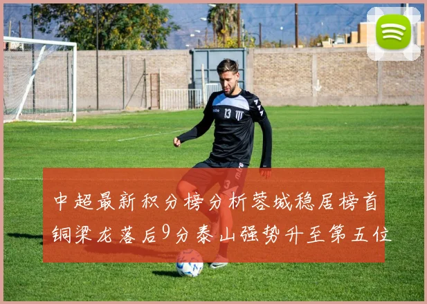 中超最新积分榜分析蓉城稳居榜首铜梁龙落后9分泰山强势升至第五位津门虎积分清零